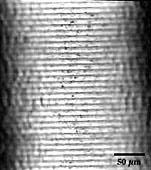 These irregularities are of the same size as the porosity showed in figure 3. After machining the ME series material, connected arc chips were originated, according to ISO 3685 [8].