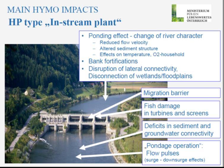 Potential Potential Biodiversity impacts from risks from hydropower Hydropower (4) MEASURES TO MITIGATE IMPACTS OF HYDROPOWER USE ON AQUATIC ENVIRONMENT, presentation given by Veronika
