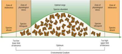 A. Range of Tolerance range of abiotic and biotic factors that certain organism can tolerate in an ecosystem 1. Optimum Range Allows for the greatest growth of a population in an ecosystem. 2.