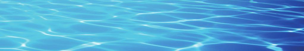 POOL BASIC The Filtreau UV-C Pool Basic ensures crystal-clear water.