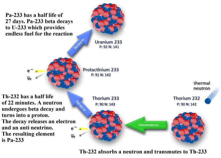 39 Thorium Fuel Cycle Use Th in fuel (but not fissile) U/Th fuel cycle: 235 U or 233 U used as fissile material; 232 Th used as a fertile material Development of new