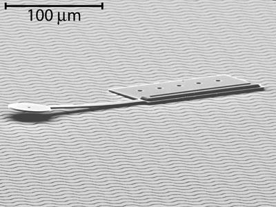 In the News Dartmouth researches have invented a robot that is so small that an army of 200 could march
