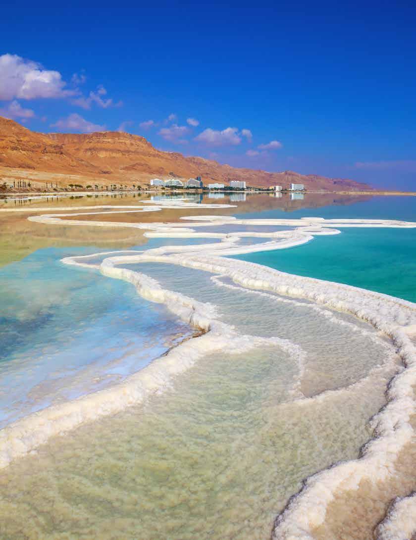 Ein Bokek and the Dead Sea, Israel 4-day, 3-night stay at the Royal Rimonim Dead Sea Hotel Includes: Dead Sea Mud Party on the hotel s beach Access to outdoor freshwater pool and indoor saltwater