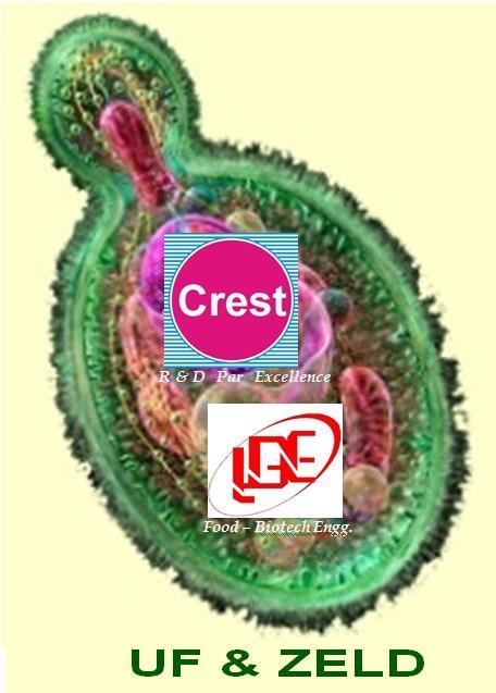 Crest s UF & ZELD (a net profit & sustainability for