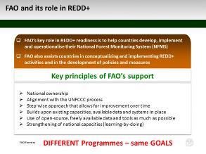 DAY1 To go to the end of my presentation, I have to say that the key principles of FAO while supporting forest monitoring are national ownership; alignment in the case of REDD+ with the UNFCCC