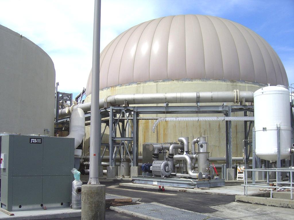 Gas Conditioning System System is designed to reduce or remove: