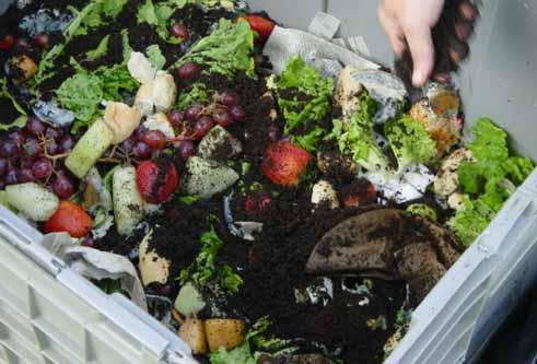 Future Growth: Food Scraps High energy potential