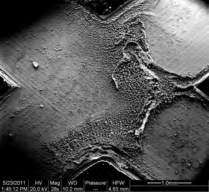 Red rust FIGURE 6 SEM micrograph of UNS K44220 2.