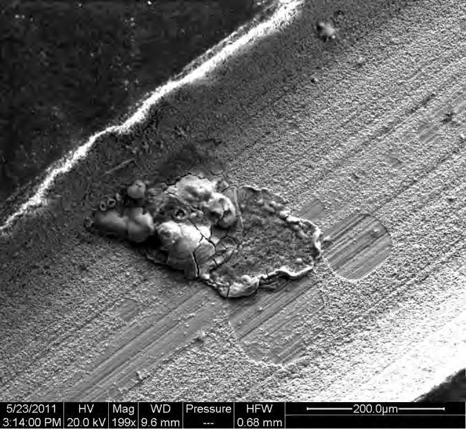 Red rust FIGURE 7 SEM micrograph of UNS K44220 0.