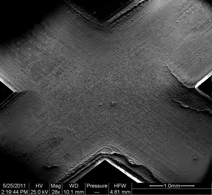 FIGURE 9 SEM micrograph of UNS K92580 2.5 mm scribe after 100 hour test per ASTM B117.