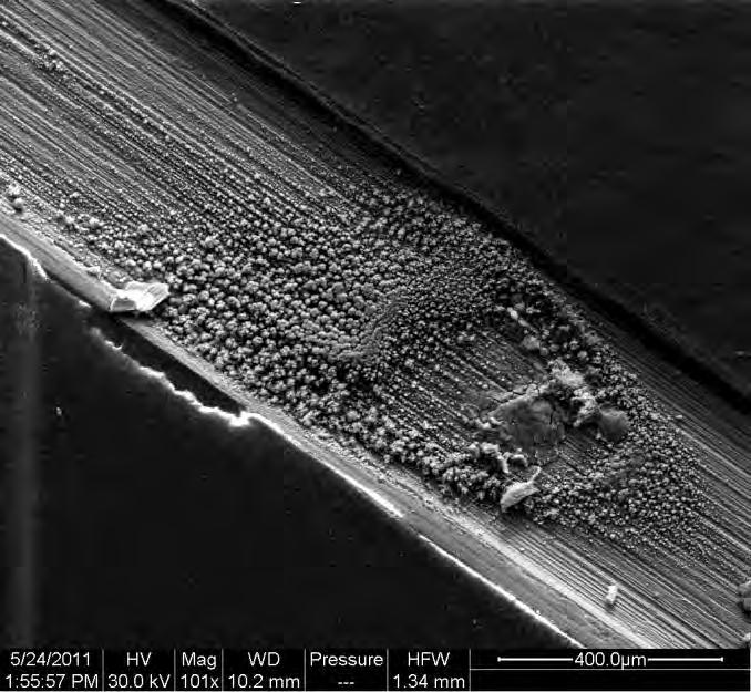FIGURE 19 SEM micrograph of UNS S10500 0.5 mm scribe after 100 hour test per ASTM B117.