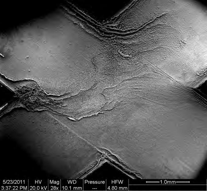 FIGURE 24 SEM micrograph of UNS S10500 2.
