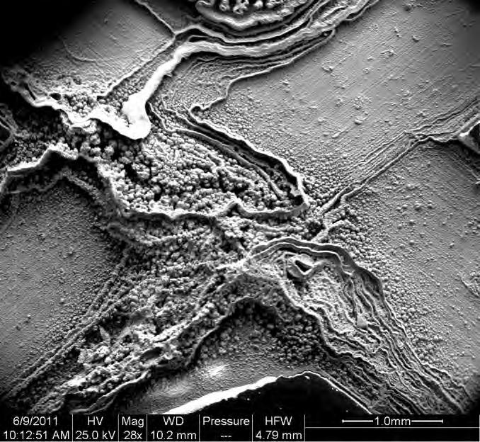 Red rust Figure 27 SEM micrograph of UNS G43400 2.