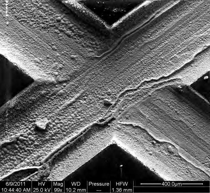 Figure 28 SEM micrograph of UNS G43400 0.