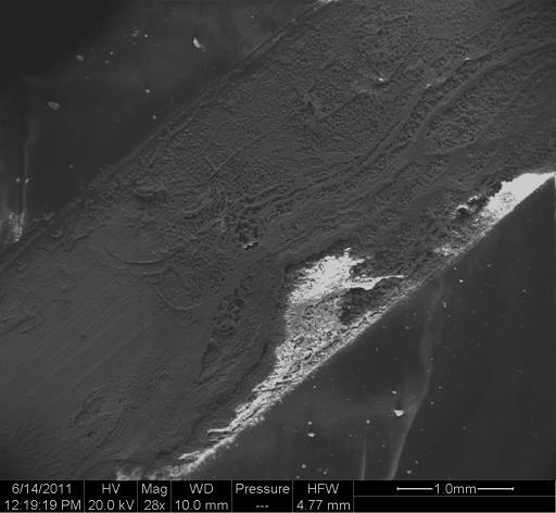 micrograph of UNS K91973 2.5 mm scribe after 500 hour test per ASTM B117.