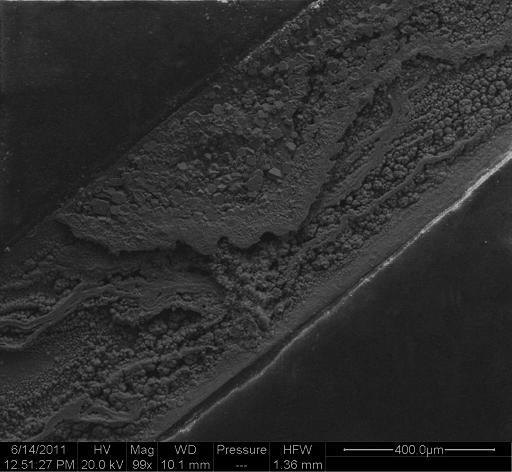 micrograph of UNS K91973 0.5 mm scribe after 500 hour test per ASTM B117.