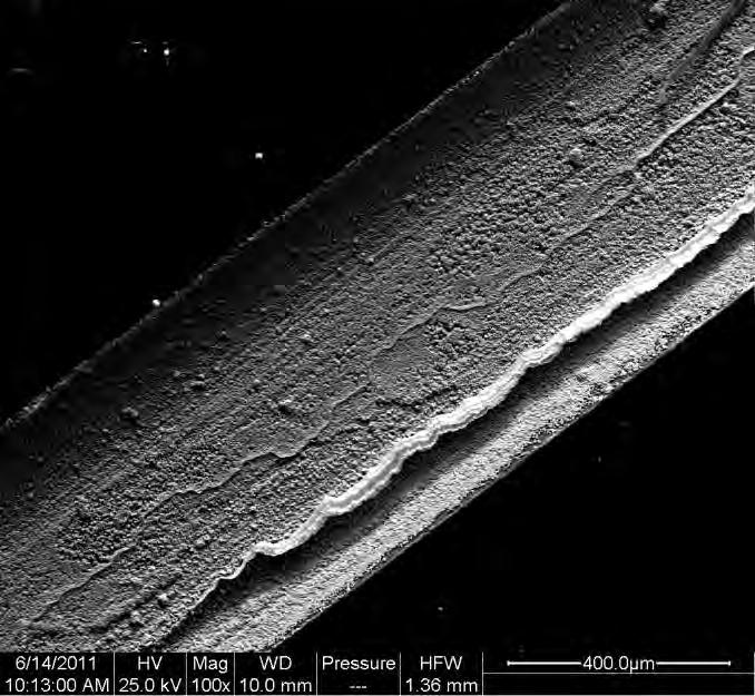 Figure 40 SEM micrograph of UNS K91973 0.