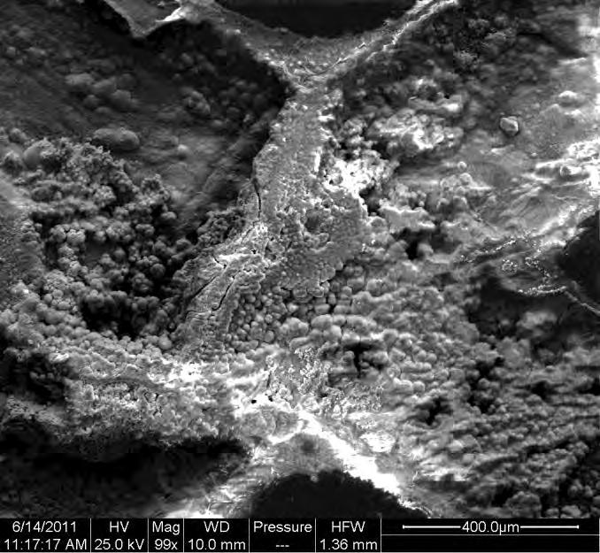 Blistering of the protection scheme can be seen along scribe lines, although not shown in SEM image.