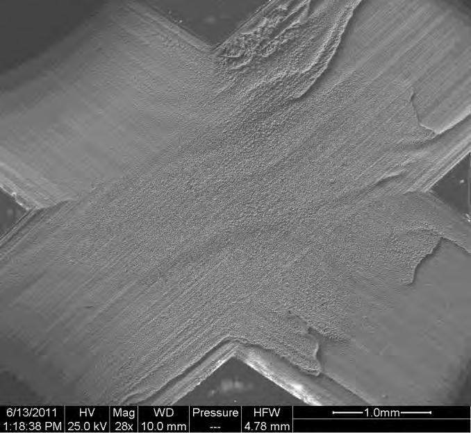 Figure 48 SEM micrograph of UNS S10500 2.5 mm scribe after 500 hour test per ASTM B117.