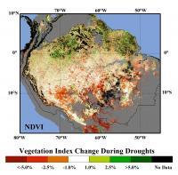 PUBLIC RELEASE DATE: 21-Oct-2013 [ Print E-mail ] Share [ Close Window ] Risk of Amazon rainforest dieback is higher than IPCC projects A new study suggests the southern portion of the Amazon