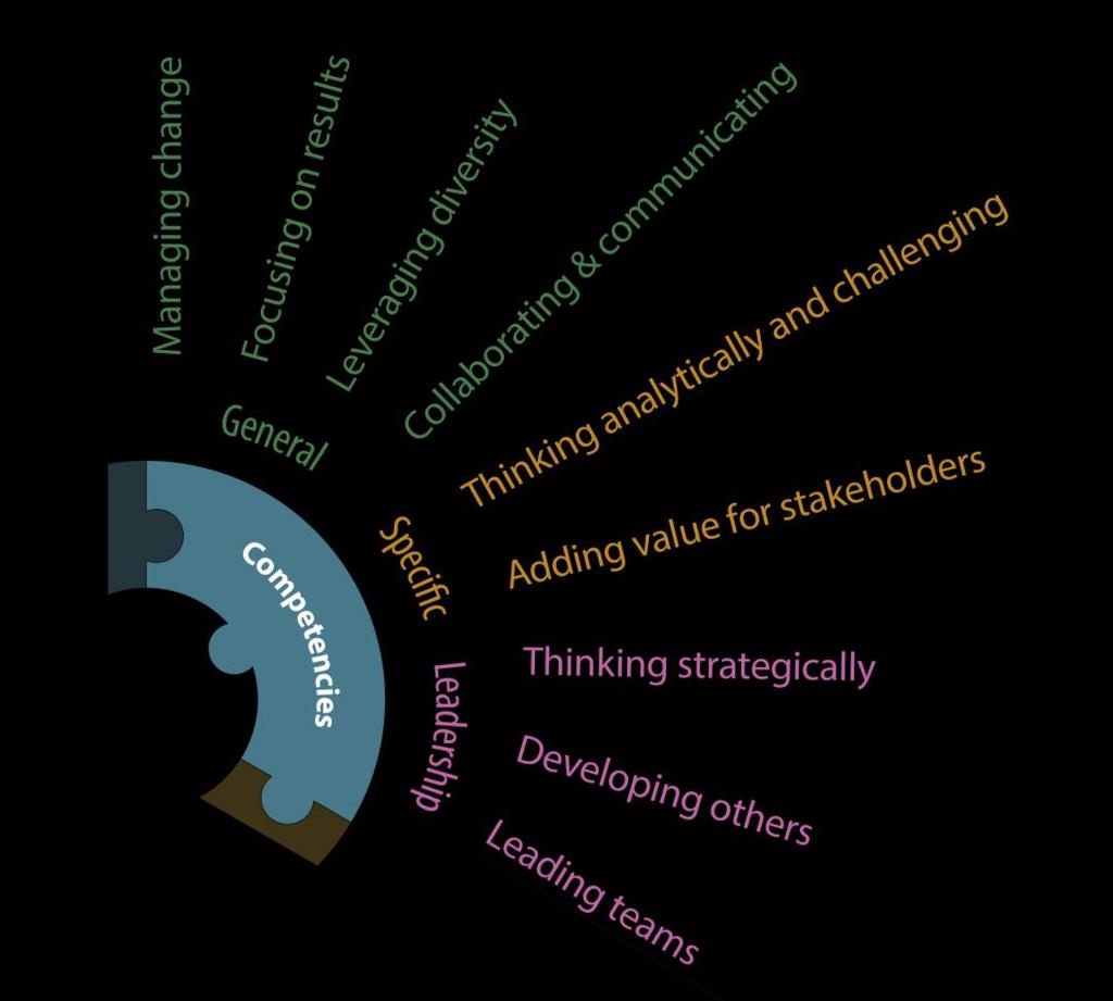 The nine ECB behavioural competencies are divided into three groups: - General competencies, mandatory for all jobs Collaborating and communicating Focusing on results Leveraging diversity Managing