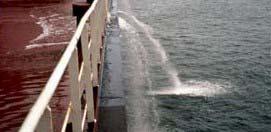 environmental, social and economic problems Ballast water is the