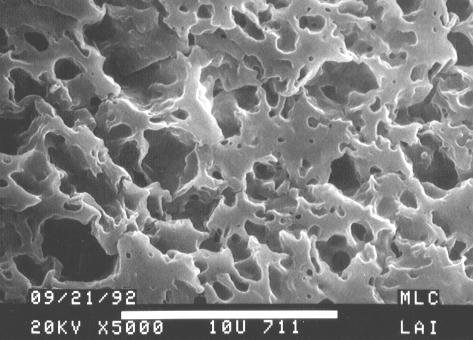 . Fig. 4 SEM of freeze-fractured surfaces of 50/50 blends of EPDM and PP after hexane extraction showing a significant size reduction of the holes with the addition of talc (right) vs.