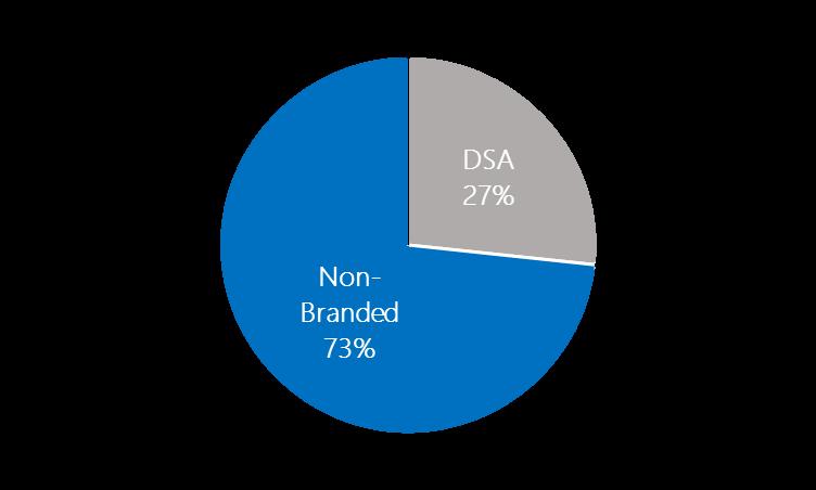 30% of All Non-Branded Yearly Revenue Launched DSA in March