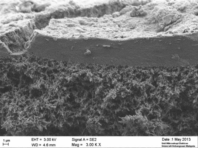 Membrane Morphology Analysis (a) PCF-RO (b) UF-RO SEM analysis showed that foulant layer of PCF-RO was generally thicker than that of UF-RO system.