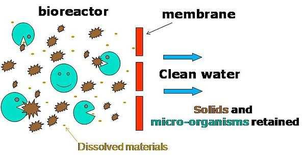 Membrane Bioreactor (MBR) Membrane bioreactor (MBR) is the combination of a membrane process like microfiltration or ultrafiltration with a suspended growth bioreactor, and is now