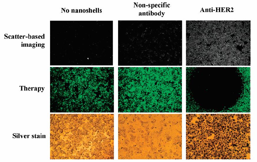 Biophotonics Nanoshell with dielectric cores for imaging and therapy silica cores with colloidal gold nanoparticles formed as shells tuned to NIR for biological tissue to either scatter light for