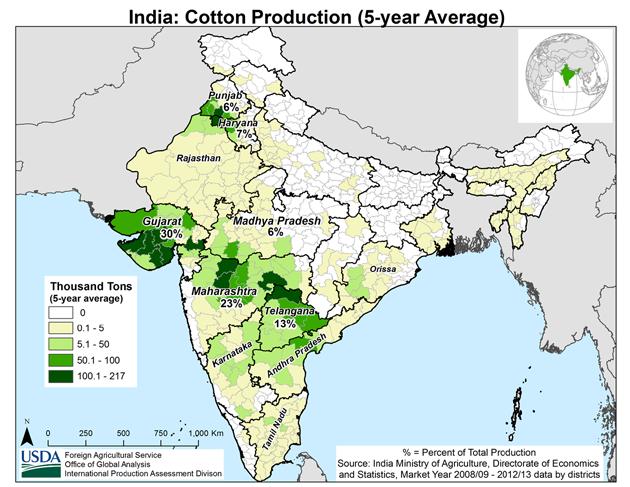 Cotton is planted from November to February in the principal cotton-growing southeast and central states and in Bahia. In other northeastern cotton-growing areas, planting continues until May.