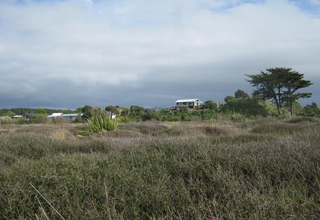 BIODIVERSITY PLANNING AND MANAGEMENT RESEARCH CASE STUDY: KĀPITI COAST DISTRICT Kāpiti Coast District Ecological Site K014-Waitohu River Mouth estuarine wetland; surrounded by other land uses,