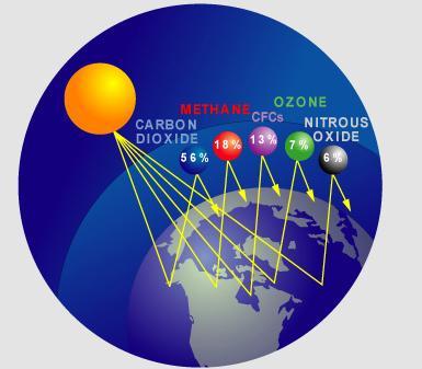 Greenhouse Gases Gases in the Earth s atmosphere that allow solar radiation to pass through, but trap heat near Earth s surface by absorbing or reflecting heat This increases the global temperature,