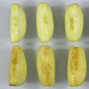 Non Browning Apples Silencing a gene that leads to