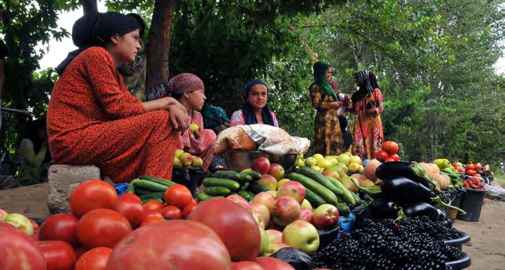 Empowering rural women On average, women make up 40 percent of the agricultural labour force in developing countries, ranging from 20 percent in Latin America to 50 percent or more in parts of Africa