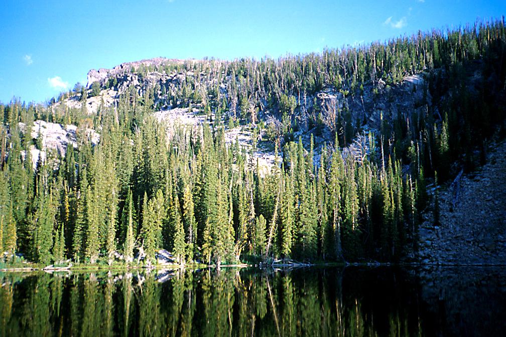 Baker Lake, Bitterroot National Forest, Montana Whitebark pine ecosystems are fascinating examples of the interconnection between ecosystem elements.