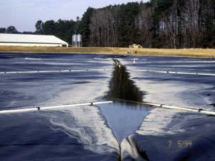 Removal of a combination cover may be more difficult than for a simple geotextile cover.