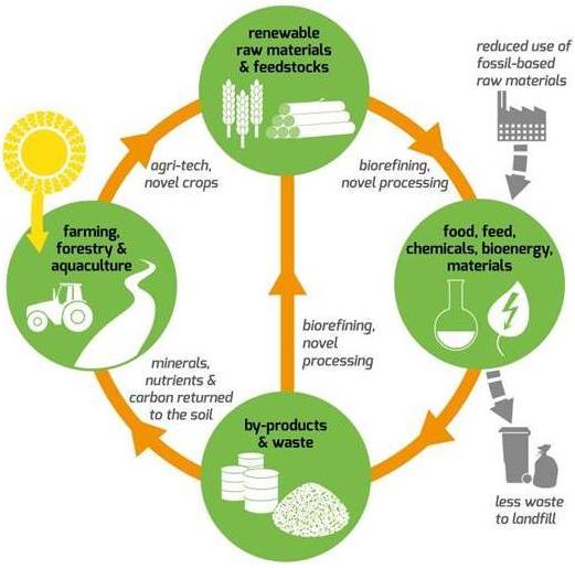 5 What is the bioeconomy Bioeconomy: The economic activity generated from the conversion of renewable biological resources (e.