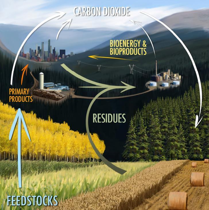 Bioenergy, when used properly, is carbon beneficial.