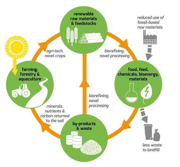 4 How we see the bioeconomy Biomass For the production of value added products food, feed, bio-based products and bioenergy.
