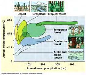 Biomes: the major types of ecosystems Terrestrial biomes Primary determining factors