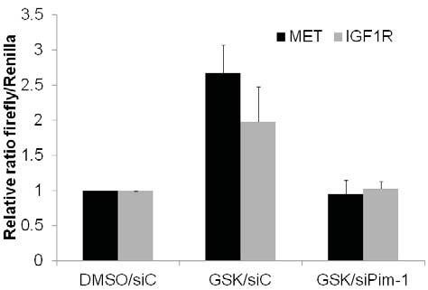 Fig.S7. Knockdown of Pim-1 suppresses GSK690693-induced MET and IGF1R IRES activities.
