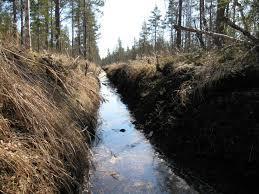 Silviculture Activities Borrow ditches must not be constructed in a manner that reduces the reach of waters of the U.S. Borrow ditches should not be connected to any outfall including other ditches, streams, canals, creeks or other features.