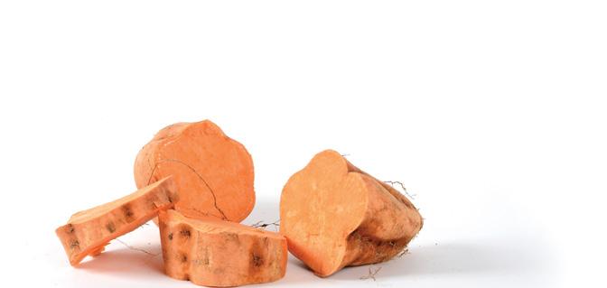 FTF-draft3.indd 2 8/20/2015 10:23:25 AM Eating sweet potatoes will help improve Nehemia s family s diet.