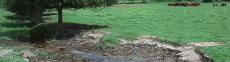 water Decreased trampling in streams and