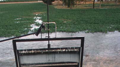 Water Trapping / Collection Trap water in fields with swaths of crop