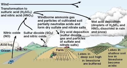 3. Regional Air Pollution from Acid Deposition Acid deposition, which consists of rain, snow, dust, or gas with ph lower