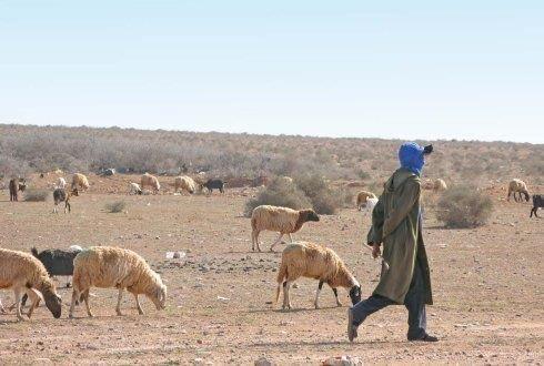 Desertification as impact of droughts Desertification refers to the process whereby poor resource