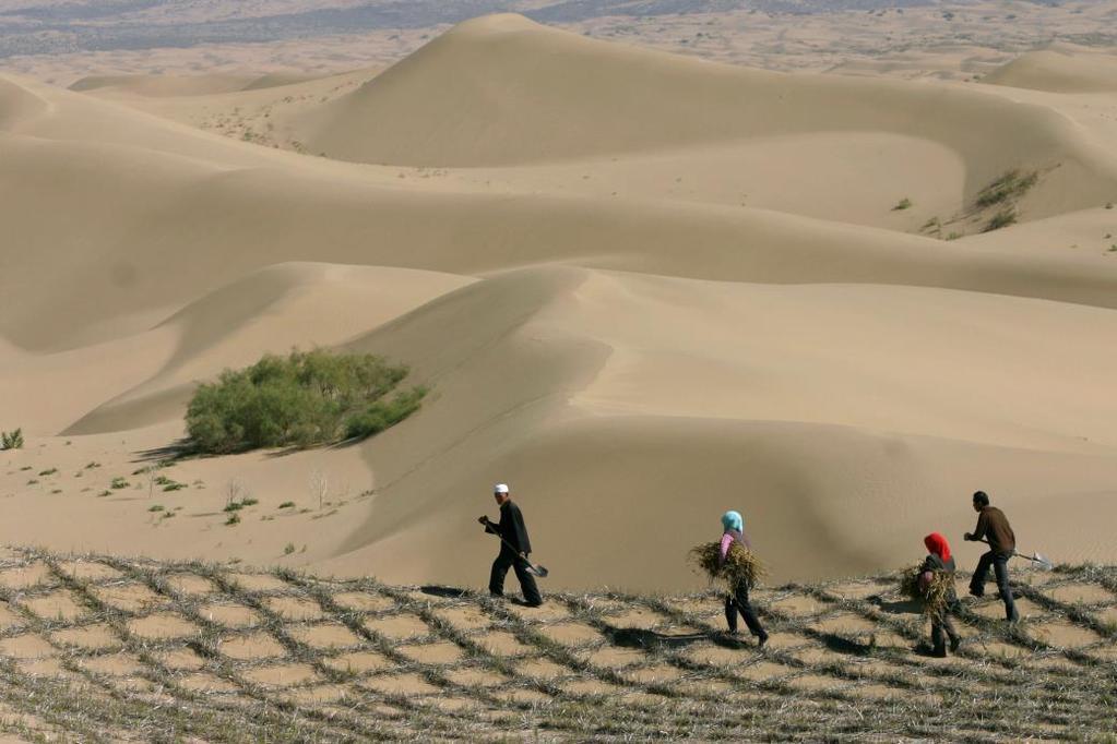 Desertification can amplify climate change The exposed soils can cause dust storms and air pollution.